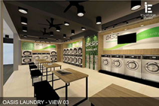 Commercial laundry